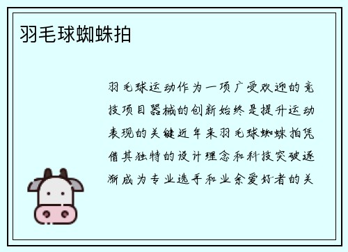 羽毛球蜘蛛拍